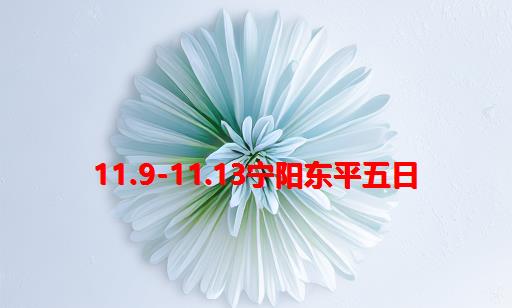 11.9-11.13宁阳东平五日