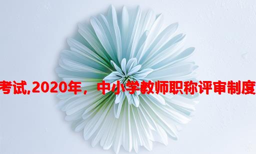 2020年伊犁州教师职称计算机考试,2020年，中小学教师职称评审制度取消？自然晋升或将成为主流...