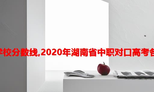 2020湖南计算机对口高考学校分数线,2020年湖南省中职对口高考各大类对应本科录取分数线...