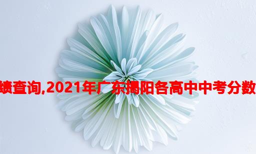 2021年普宁华侨中学高考成绩查询,2021年广东揭阳各高中中考分数线及录取时间结果查询安排...