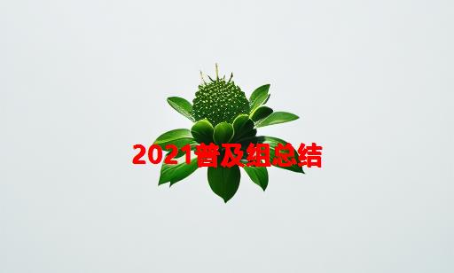 2021普及组总结