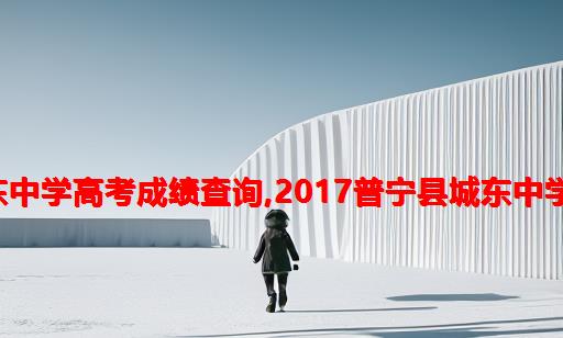 2021普宁市城东中学高考成绩查询,2017普宁县城东中学录取分数线公布