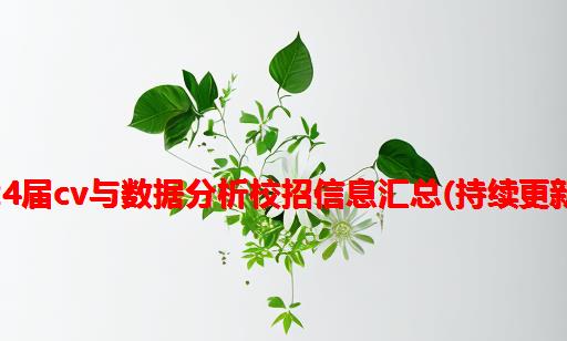 2024届CV与数据分析校招信息汇总(持续更新中)