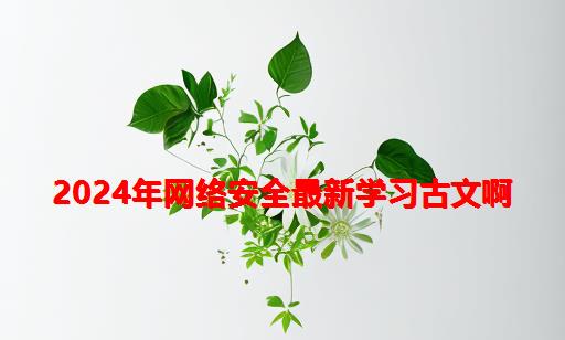 2024年网络安全最新学习古文啊