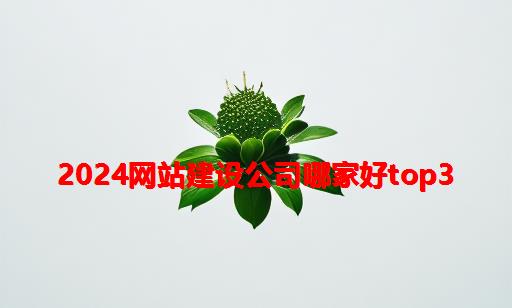 2024网站建设公司哪家好TOP3