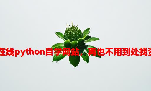 30个在线Python自学网站，再也不用到处找资料了