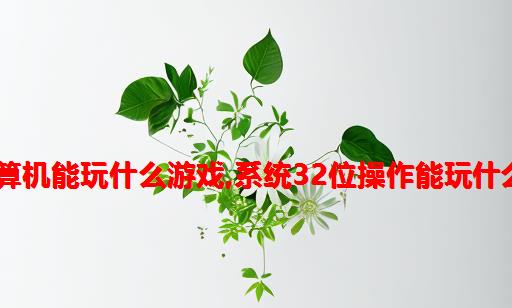 32位计算机能玩什么游戏,系统32位操作能玩什么游戏？