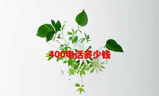 400电话多少钱