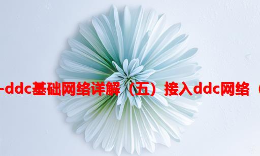 BSN-DDC基础网络详解（五）：接入DDC网络（1）