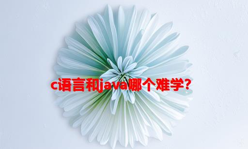 C语言和Java哪个难学？