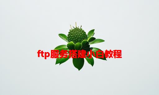 FTP服务搭建小白教程