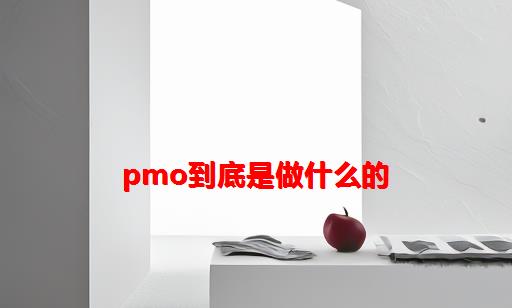 PMO到底是做什么的