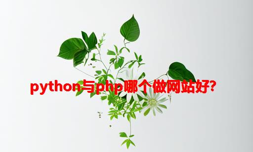 Python与PHP哪个做网站好？