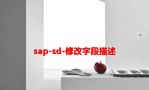 SAP-SD-修改字段描述
