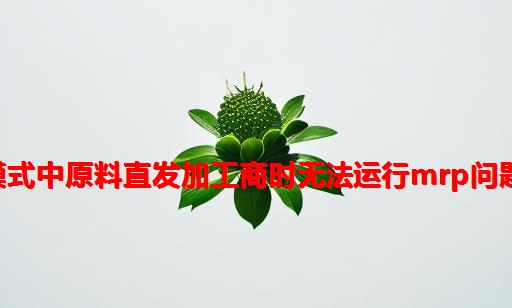 SAP外协加工模式中原料直发加工商时无法运行MRP问题处理分析实例