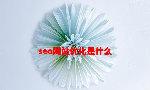 SEO网站优化是什么