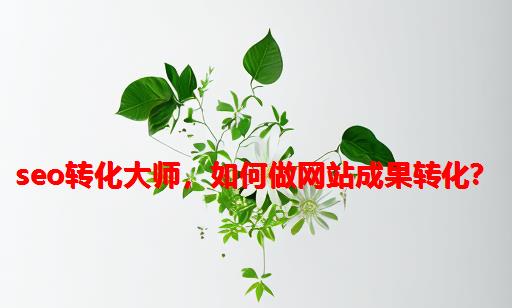 SEO转化大师，如何做网站成果转化？