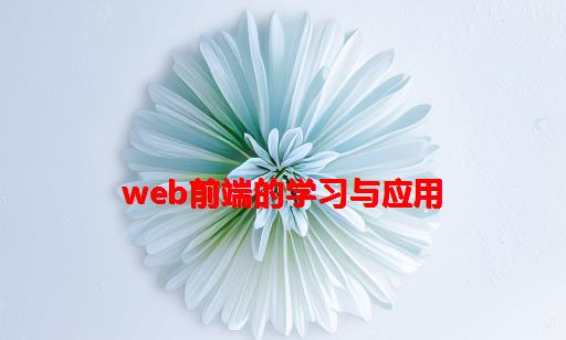 Web前端的学习与应用