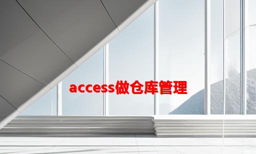 access做仓库管理