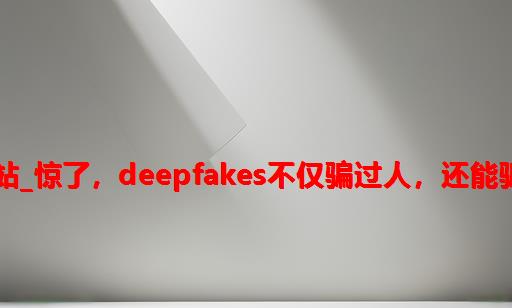 deepfakes视频的网站_惊了，DeepFakes不仅骗过人，还能骗过人脸识别系统？！