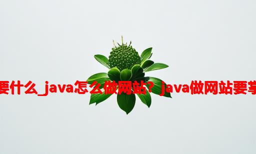 java做网站需要什么_java怎么做网站？java做网站要掌握哪些技术？