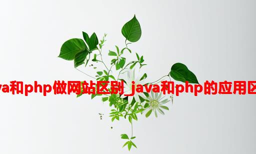 java和php做网站区别_Java和PHP的应用区别