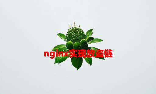 nginx实现放盗链