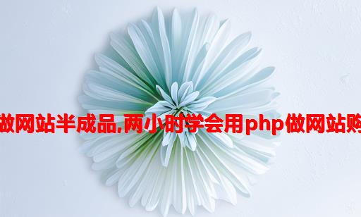 php做网站半成品,两小时学会用php做网站购物车