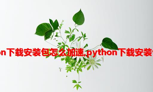 python下载安装包怎么加速,python下载安装包教程