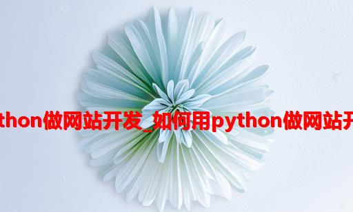 python做网站开发_如何用Python做网站开发