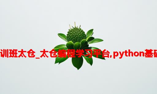 python培训班太仓_太仓编程学习平台,Python基础语法学习