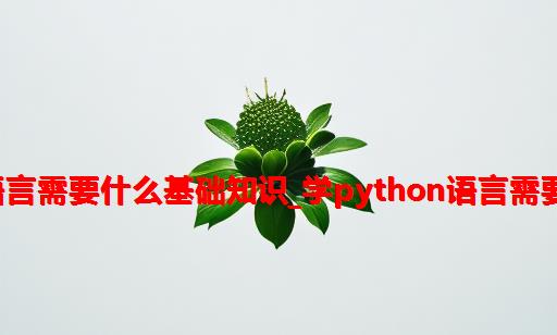 python语言需要什么基础知识_学python语言需要什么基础