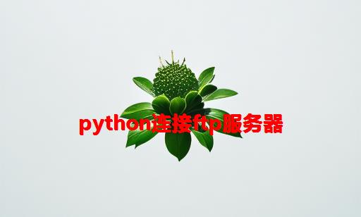 python连接FTP服务器