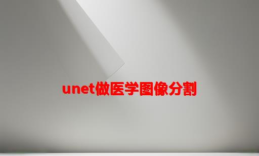 unet做医学图像分割