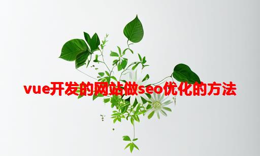 vue开发的网站做seo优化的方法