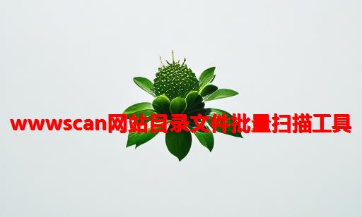 wwwscan网站目录文件批量扫描工具