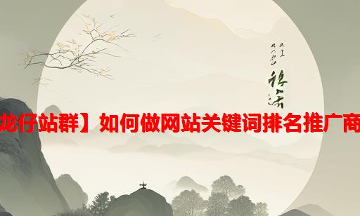 【龙仔站群】如何做网站关键词排名推广商城