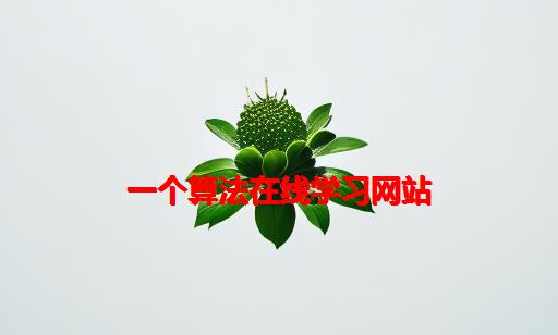 一个算法在线学习网站