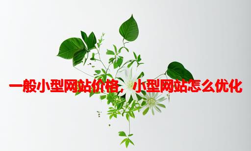 一般小型网站价格，小型网站怎么优化