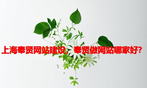 上海奉贤网站建设，奉贤做网站哪家好？