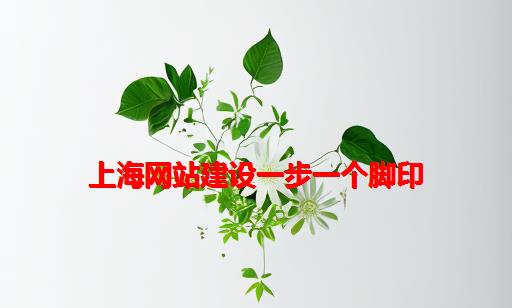 上海网站建设一步一个脚印