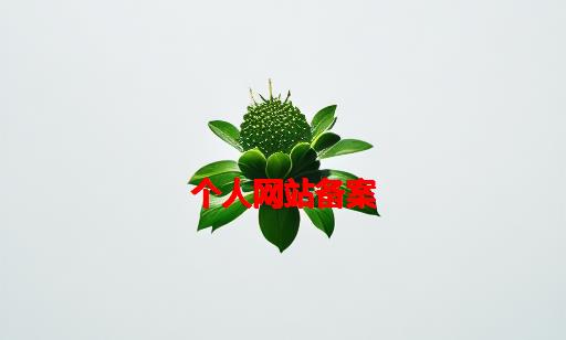 个人网站备案