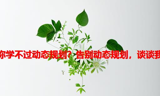 为什么你学不过动态规划？告别动态规划，谈谈我的经验