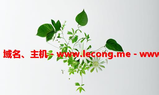 乐从网站建设、域名、主机－www.lecong.me－www.lecong.mobi