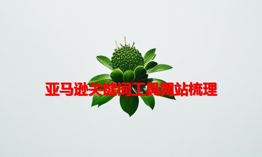 亚马逊关键词工具网站梳理