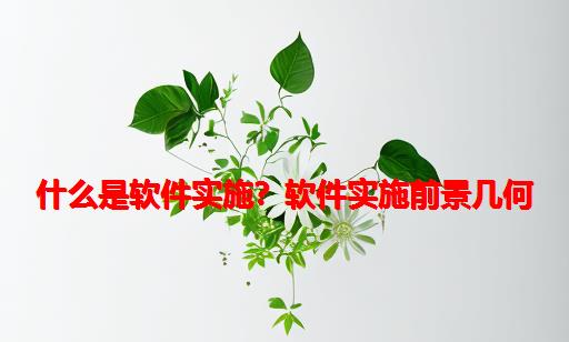 什么是软件实施？软件实施前景几何?软件实施的面试题有那些？