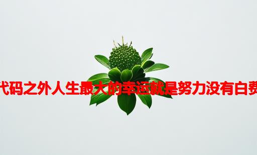 代码之外：人生最大的幸运就是努力没有白费