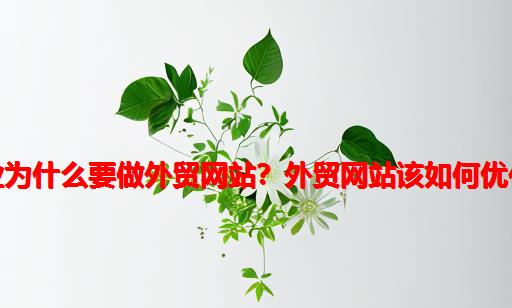 企业为什么要做外贸网站？外贸网站该如何优化？