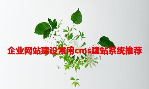 企业网站建设常用CMS建站系统推荐