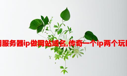 传奇用服务器ip做网站域名,传奇一个IP两个玩区教程